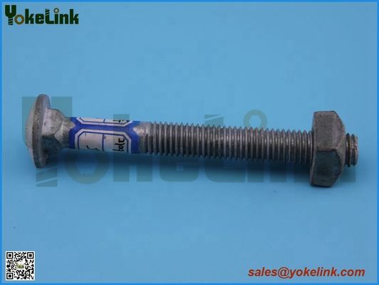 Hot dip galvanized Carriage bolt