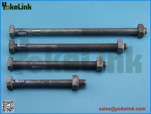Hot dip galvanized square head bolt