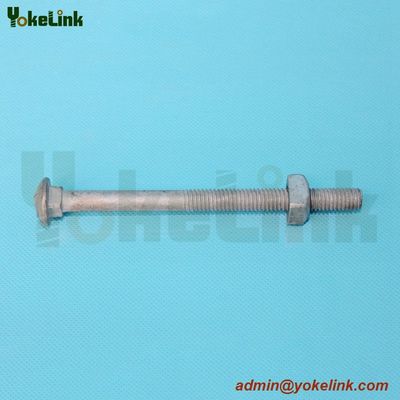Carriage Bolt