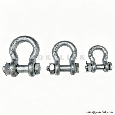 Screw Pin Anchor Shackle | High Strength Utility Fitting | Drop Forged Anchor Shackle
