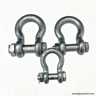 Screw Pin Anchor Shackle | High Strength Utility Fitting | Drop Forged Anchor Shackle